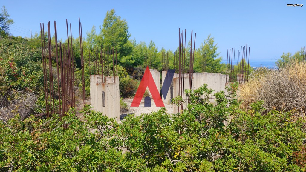 Αγροτεμάχια 3.700 τ.μ. προς πώληση, Πευκοχώρι
