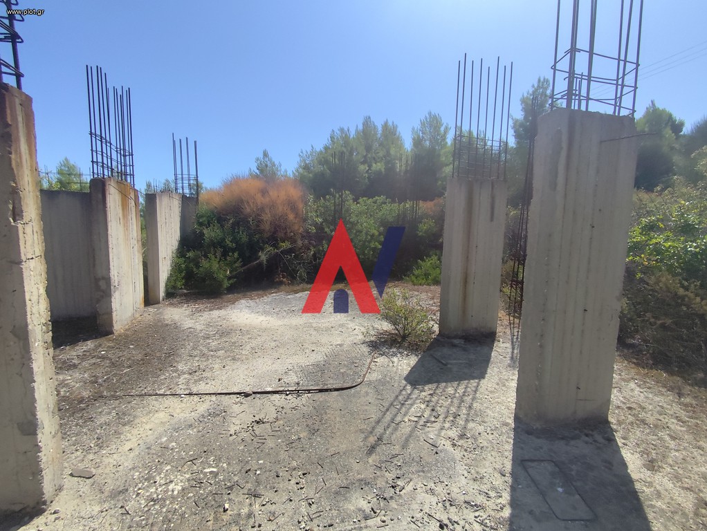 Αγροτεμάχια 3.700 τ.μ. προς πώληση, Πευκοχώρι