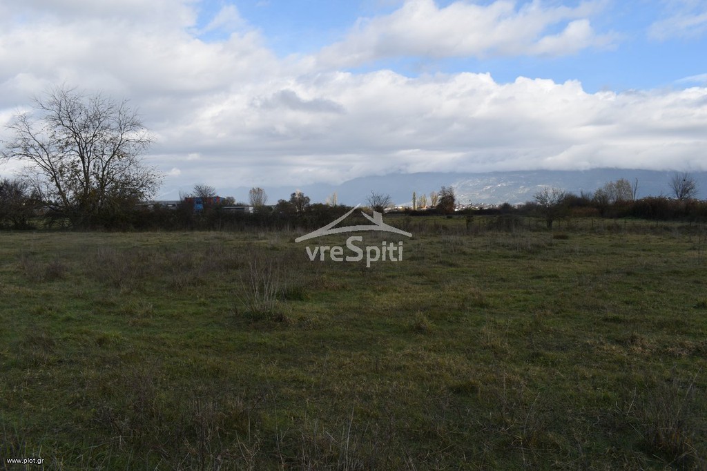 Αγροτεμάχια 4.200 τ.μ. προς πώληση, Πεδινή