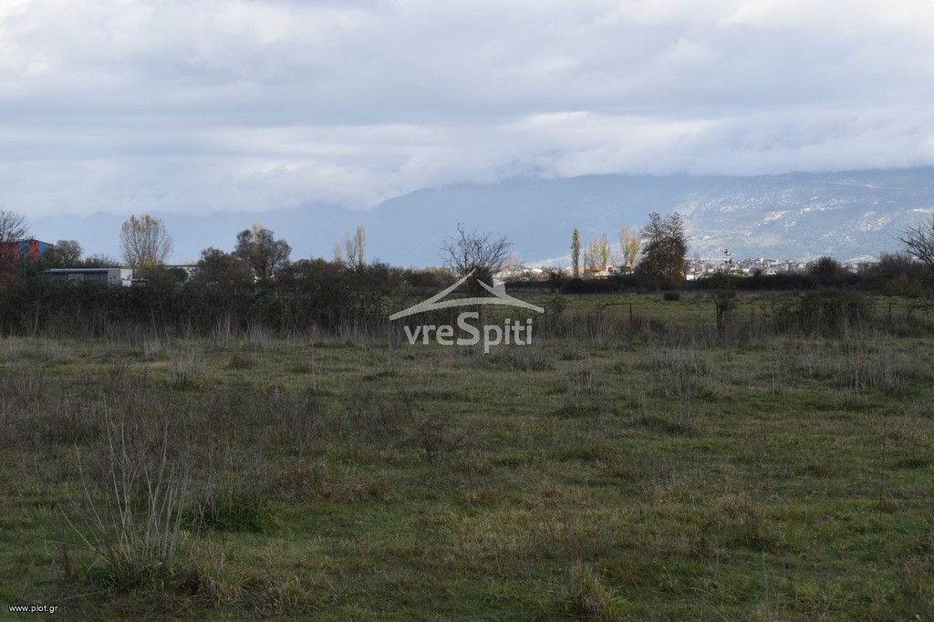 Αγροτεμάχια 4.200 τ.μ. προς πώληση, Πεδινή