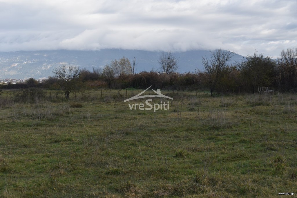 Αγροτεμάχια 4.200 τ.μ. προς πώληση, Πεδινή