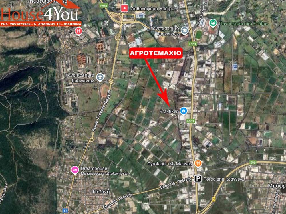Αγροτεμάχια 20.083 τ.μ. προς πώληση, Πεδινή