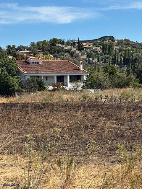 Οικόπεδο 200 τ.μ. πρός πώληση, Αθήνα - Ανατολικά Προάστια, Παιανία