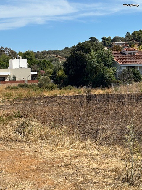 Οικόπεδο 200 τ.μ. πρός πώληση, Αθήνα - Ανατολικά Προάστια, Παιανία