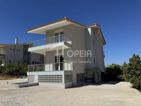 Διαμέρισμα 67τ.μ. για ενοικίαση-Παλαιά φώκαια » Κέντρο