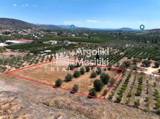 Αγροτεμάχια 3.891 τ.μ. για πώληση