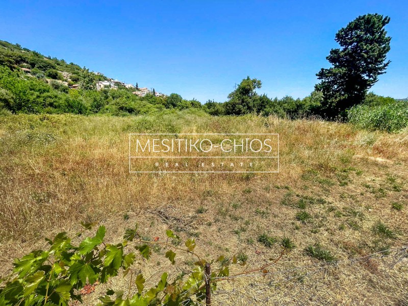 Οικόπεδο 2.130,81 τ.μ. προς πώληση, Καρδάμυλα