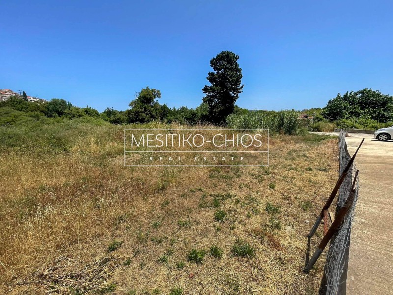 Οικόπεδο 2.130,81 τ.μ. προς πώληση, Καρδάμυλα