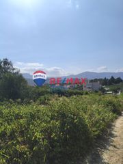 Οικόπεδο 333 τ.μ. για πώληση