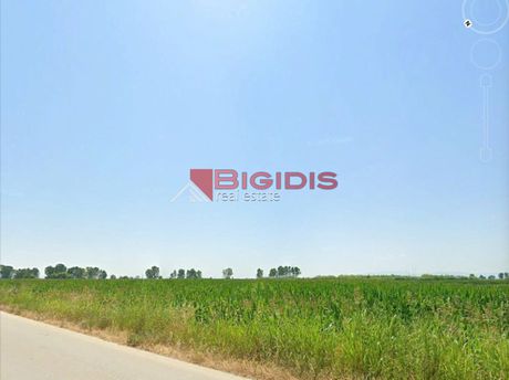 Parcel 16.500sqm for sale-Kato Mitrousi » Ano Kamila