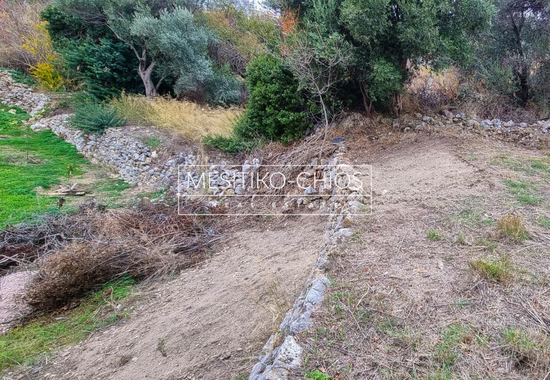 Οικόπεδο 456,22 τ.μ. προς πώληση, Ομηρούπολη