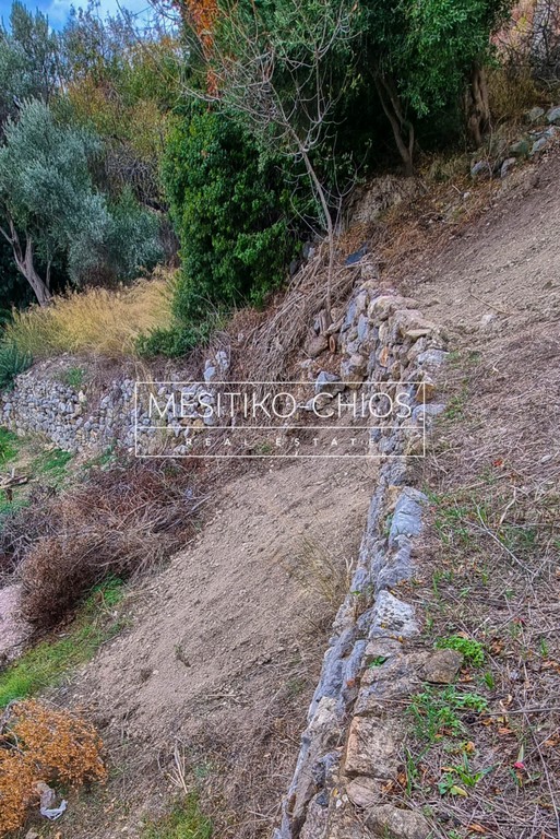 Οικόπεδο 456,22 τ.μ. προς πώληση, Ομηρούπολη