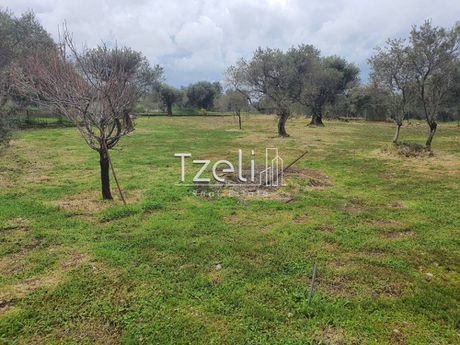 Αγροτεμάχια 5.685τ.μ. για πώληση-Φαρές » Ίσωμα