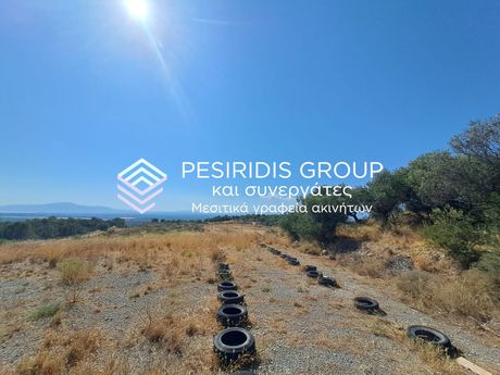 Αγροτεμάχια 3.100τ.μ. για πώληση-Θουρία » Μικρομάνη