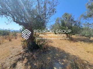 Αγροτεμάχια 3.100 τ.μ. προς πώληση, Μικρομάνη-thumb-7