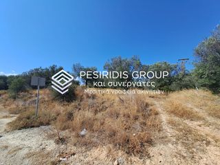 Αγροτεμάχια 3.100 τ.μ. προς πώληση, Μικρομάνη-thumb-12