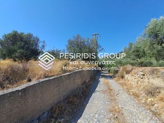 Αγροτεμάχια 3.100 τ.μ. προς πώληση, Μικρομάνη-thumb-5