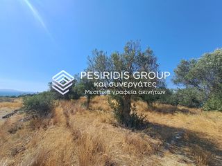 Αγροτεμάχια 3.100 τ.μ. προς πώληση, Μικρομάνη-thumb-10
