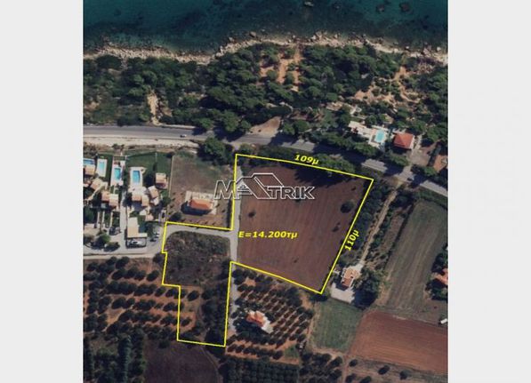 Αγροτεμάχια 14.200 τ.μ. για πώληση, Χαλκιδική, Κασσάνδρα