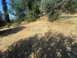 Οικόπεδο 4.000 τ.μ. για πώληση