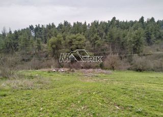 Αγροτεμάχια 4.500 τ.μ. προς πώληση, Σανή-thumb-4