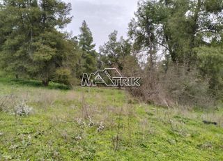 Αγροτεμάχια 4.500 τ.μ. προς πώληση, Σανή-thumb-3