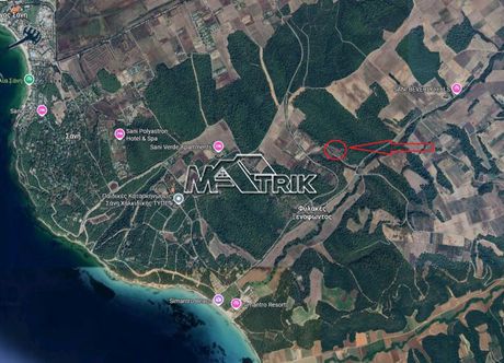 Αγροτεμάχια 4.500τ.μ. για πώληση-Κασσάνδρα » Σανή