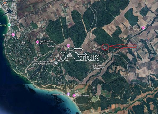 Αγροτεμάχια 4.500 τ.μ. για πώληση, Χαλκιδική, Κασσάνδρα