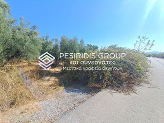 Αγροτεμάχια 7.050 τ.μ. για πώληση