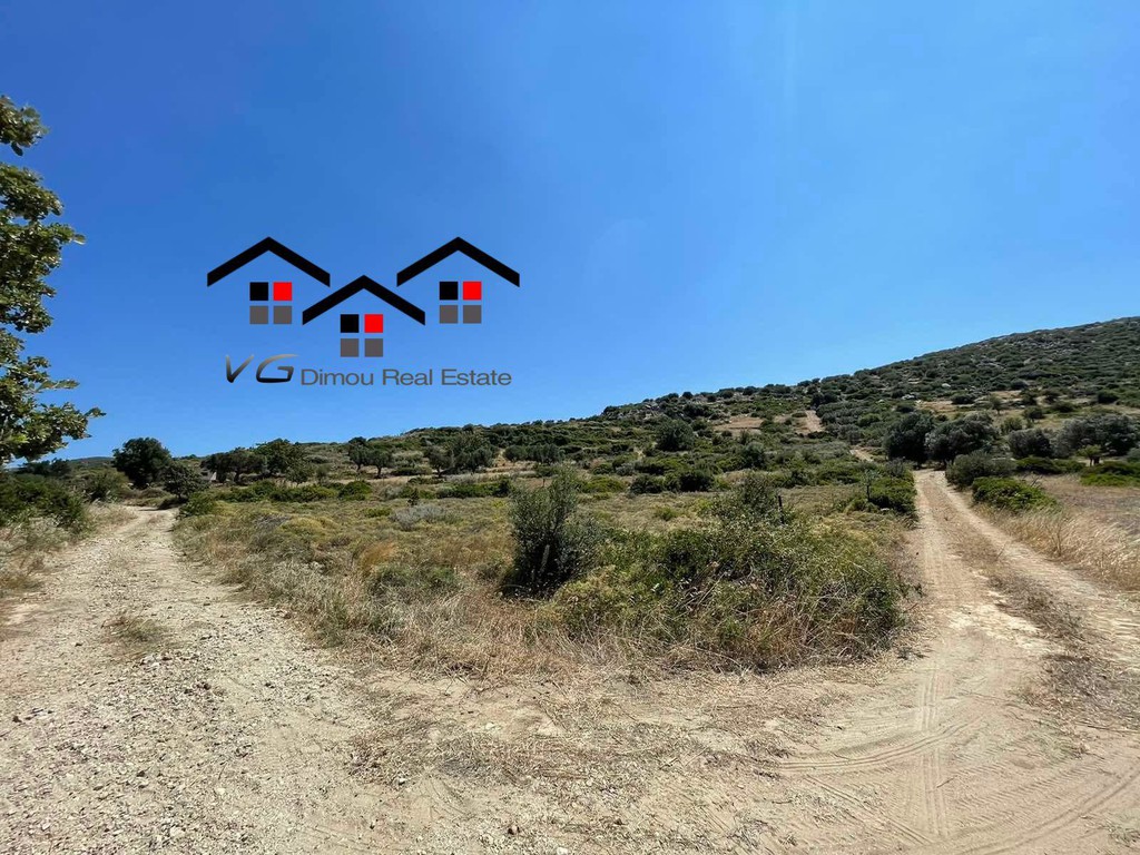 Αγροτεμάχια 5.730 τ.μ. προς πώληση, Δήλησο