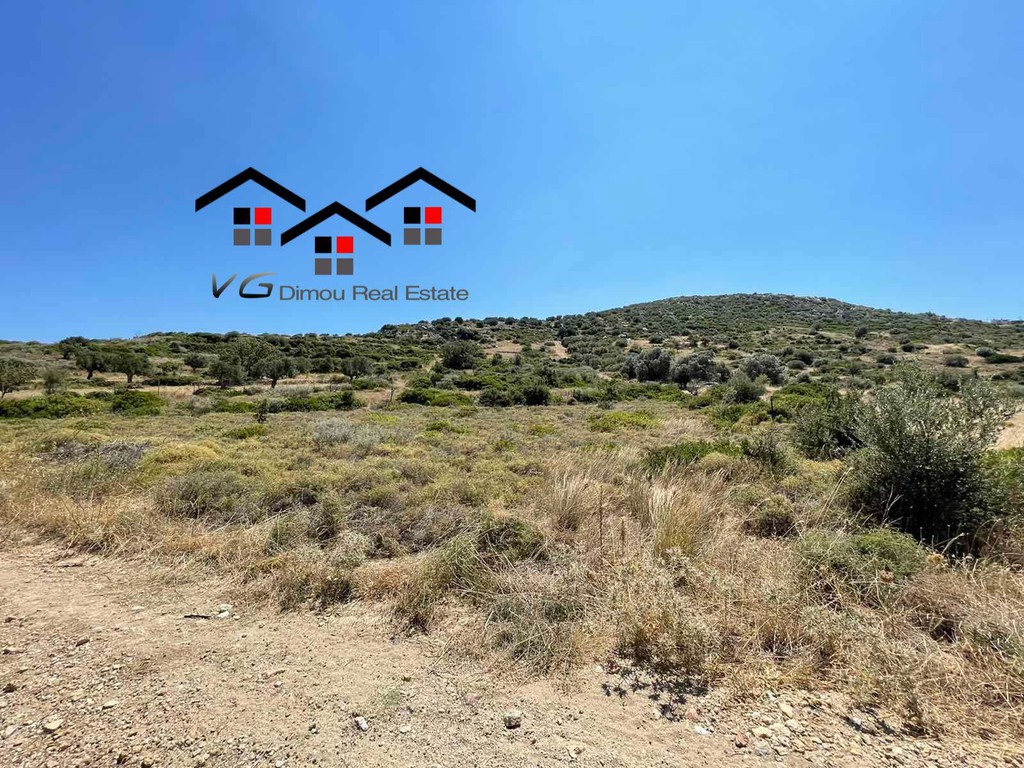Αγροτεμάχια 5.730 τ.μ. προς πώληση, Δήλησο