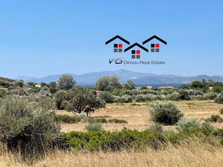 Αγροτεμάχια 5.730 τ.μ. για πώληση, Εύβοια, Στύρα-thumb-6