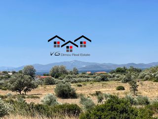 Αγροτεμάχια 5.730 τ.μ. για πώληση