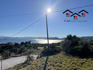 Οικόπεδο 1.330 τ.μ. για πώληση, Εύβοια, Στύρα-thumb-7