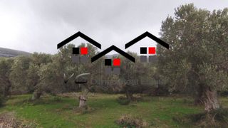 Αγροτεμάχια 1.000 τ.μ. για πώληση, Εύβοια, Στύρα-thumb-1
