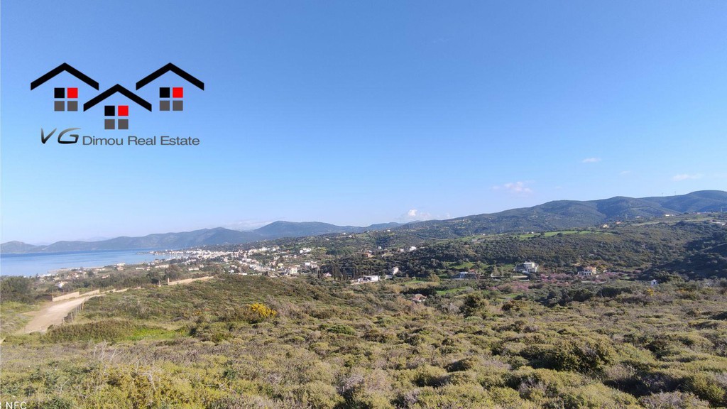 Αγροτεμάχια 5.170 τ.μ. προς πώληση, Λεύκα Στύρων
