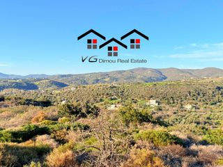 Αγροτεμάχια 5.170 τ.μ. για πώληση, Εύβοια, Στύρα-thumb-10