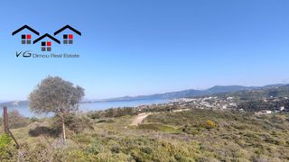 Αγροτεμάχια 5.170 τ.μ. για πώληση, Εύβοια, Στύρα-thumb-5