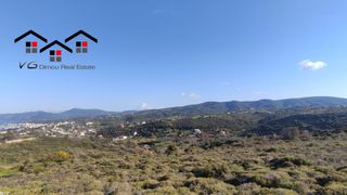 Αγροτεμάχια 5.170 τ.μ. για πώληση, Εύβοια, Στύρα-thumb-1