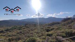Αγροτεμάχια 5.170 τ.μ. για πώληση, Εύβοια, Στύρα-thumb-6