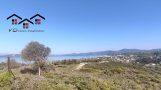 Αγροτεμάχια 5.170 τ.μ. για πώληση