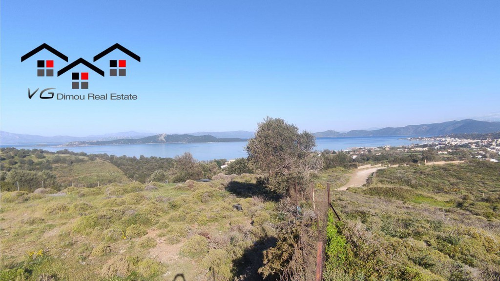 Αγροτεμάχια 5.170 τ.μ. προς πώληση, Λεύκα Στύρων
