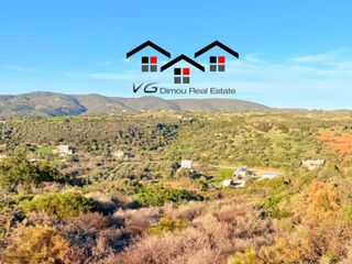 Αγροτεμάχια 5.170 τ.μ. για πώληση, Εύβοια, Στύρα-thumb-12