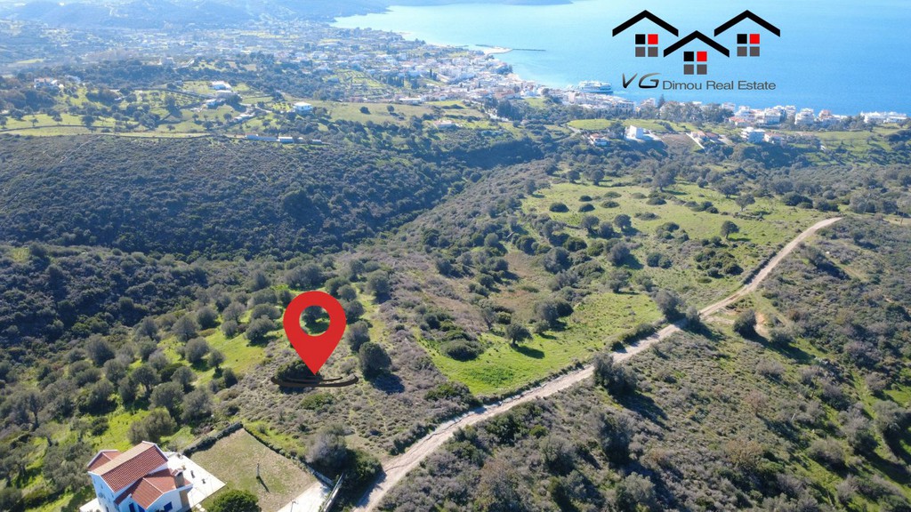 Αγροτεμάχια 6.238 τ.μ. προς πώληση, Νέα Στύρα