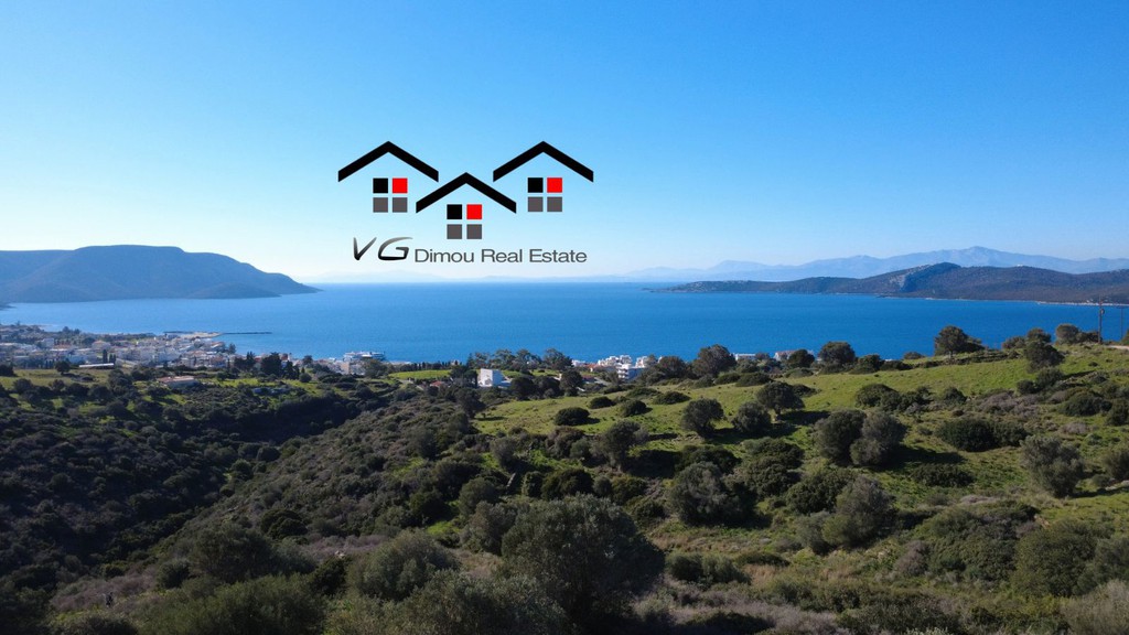 Αγροτεμάχια 6.238 τ.μ. προς πώληση, Νέα Στύρα