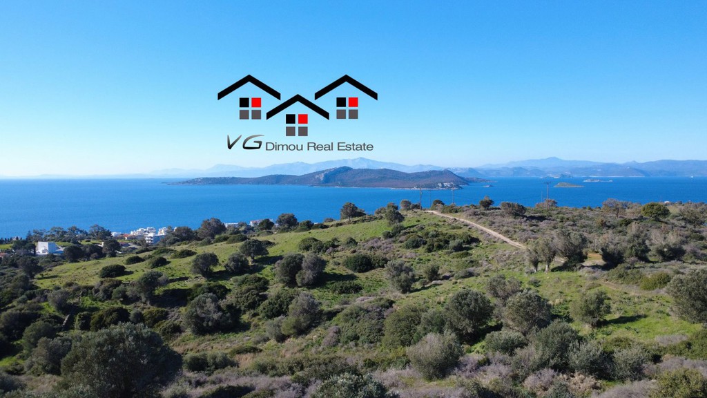 Αγροτεμάχια 6.238 τ.μ. προς πώληση, Νέα Στύρα