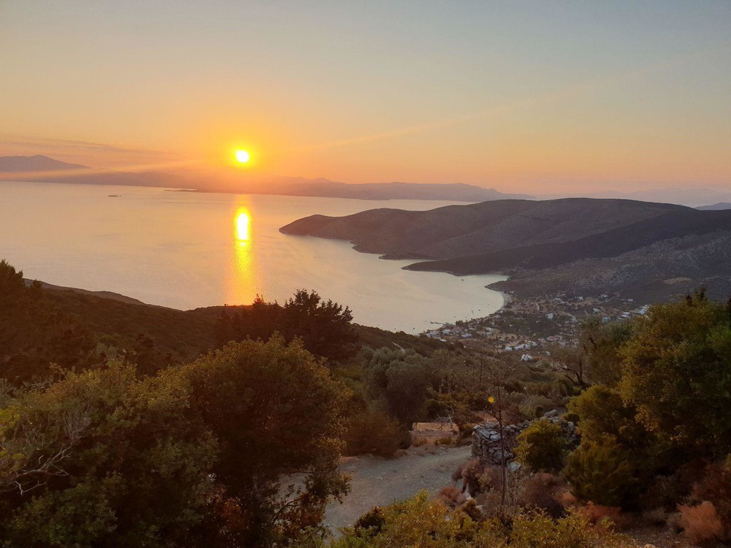 Αγροτεμάχια 10.000 τ.μ. προς πώληση, Νιμπορειό