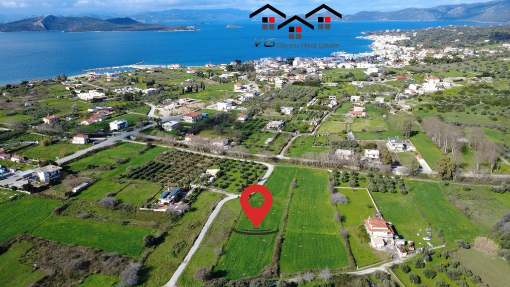 Αγροτεμάχια 2.560 τ.μ. προς πώληση, Νέα Στύρα