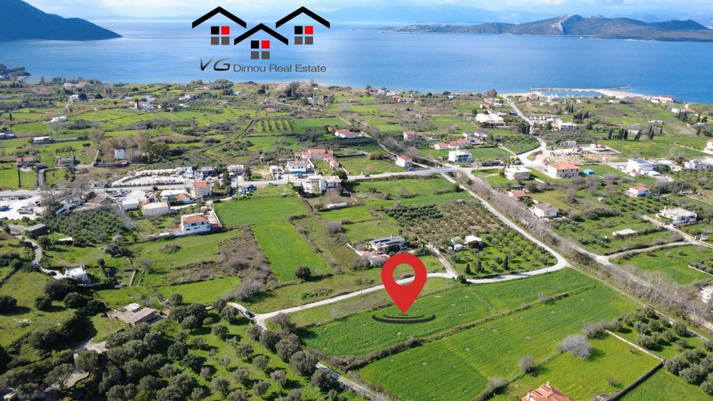 Αγροτεμάχια 2.560 τ.μ. προς πώληση, Νέα Στύρα