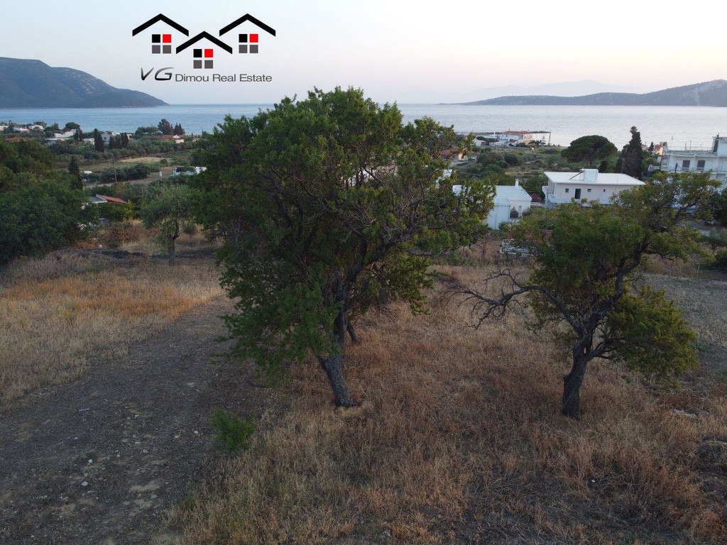 Οικόπεδο 900 τ.μ. προς πώληση, Νέα Στύρα